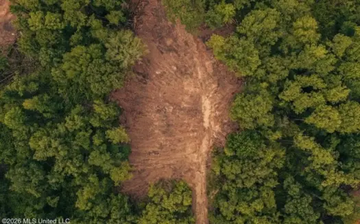36± Acre Hunting Property Near Bude, MS