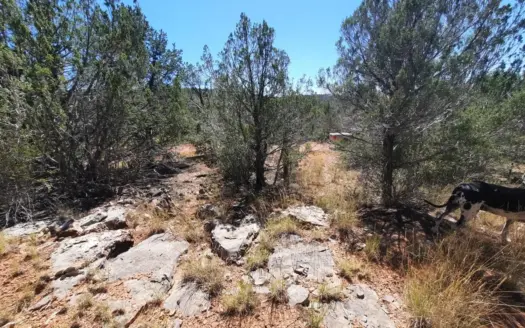 Secluded Northern AZ off Property