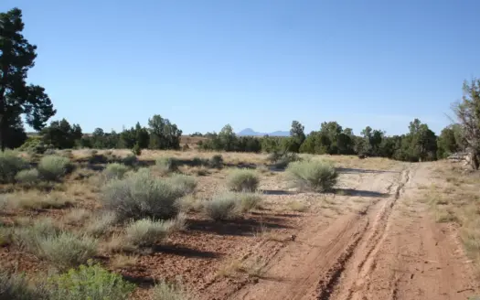 Canyon Edge 17.73 Acres  With Tiny Home, 2 Sheds &  Container