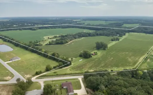 282ac Farmland For Sale Headland Alabama – Henry County