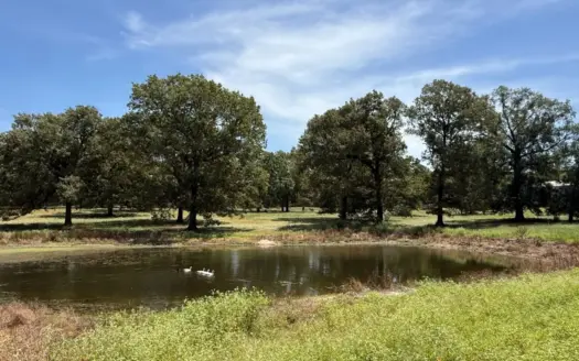 Rural Acreage For Sale in Mineola Texas Near Lindale Smith County