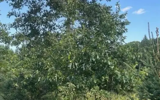 Acreage For Sale in Waupaca County