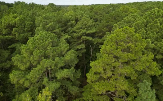 76.13 acres of Rural Living or Recreating in Smith County, Texas