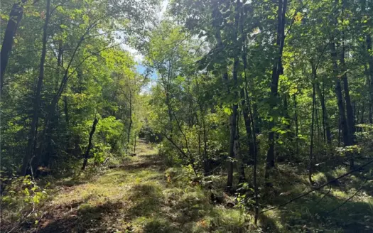 10 Acre Hunting & Recreational Property For Sale in Bruno, MN