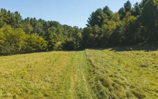 Large Recreational Tract for Sale in Bent Mountain VA