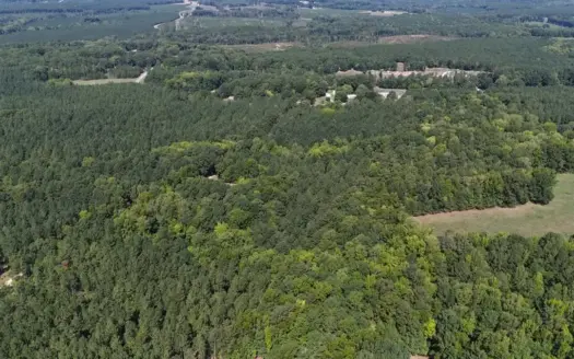 15.9 Acres Near Lake Gaston – Land, Timber & Opportunity