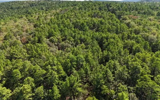Harold B. Ward RLT Land Auction