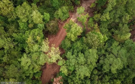 13± Acres by Homochitto National Forest Near Meadville, MS