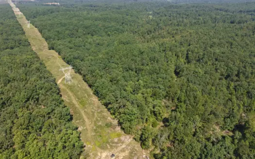Hunting Land For Sale In Tn. Hardwood Timber, Wooded Land