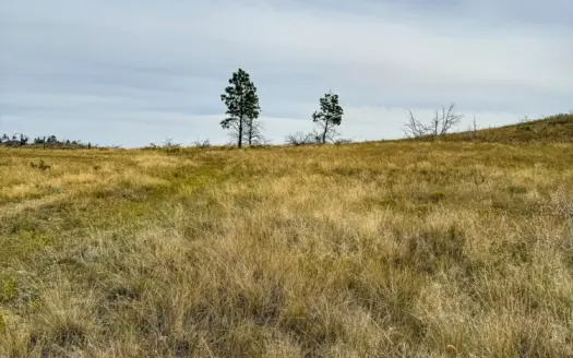 20+/- Acres near Musselshell River | Mosby, MT