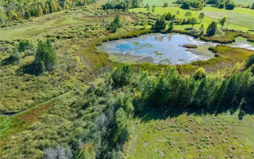 200 Acres of Hunting Land For Sale in Finlayson, MN