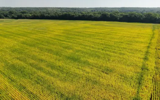 76± Acres of Productive Bottomland & Trophy Hunting Habitat