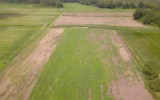 25.71 Acre Farm Located close to Wallace, NC