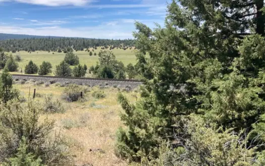 Large Acreage for Sale in Lassen County, CA