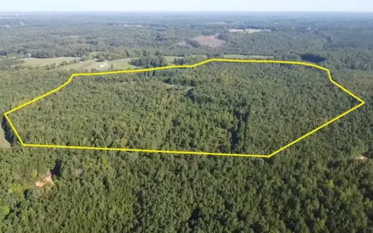 Recreation Rendezvous: 105 Acres of Outdoor Paradise