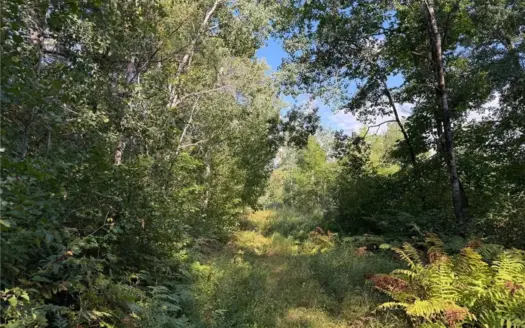 20.4 Acres Bordering 640 Acres of State Forest in Willow River