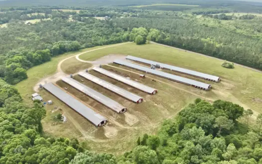 26.72 Acres for sale on County Road 6, Geneva, Alabama