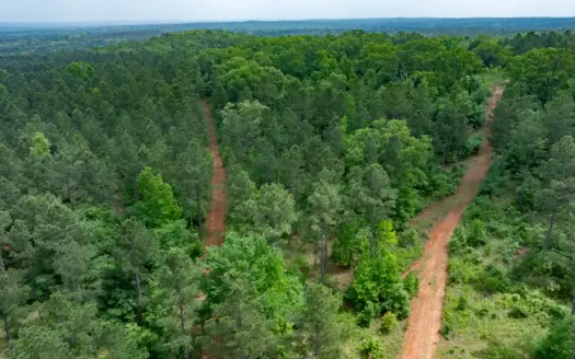 East Texas Recreational Land for Sale Ben Wheeler TX Van Zandt Co