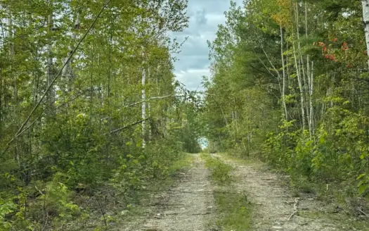 44± Acres with ATV Access in Wesley, Maine