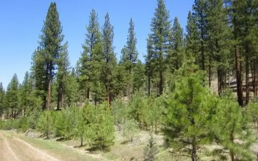 Lassen County Hunting Property