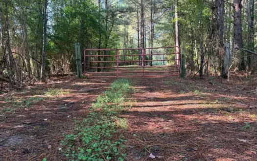 52 Acres Hunting & Timberland in Raleigh, MS