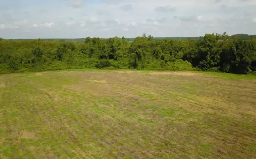 23.16 Acre Property Outside of Wallace, NC
