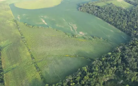 41 Acres m/l with CRP & Hunting