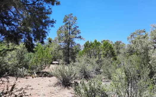 Remote Northern Arizona off grid property