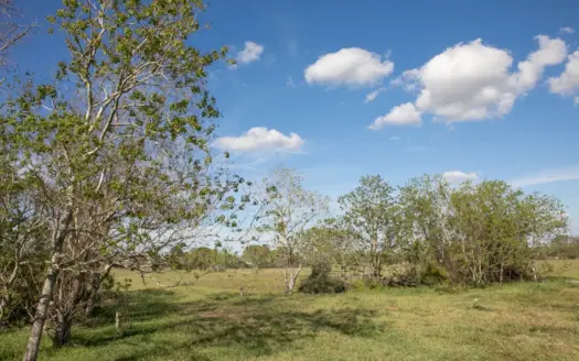 Farm & Ranch Property in Sealy, TX