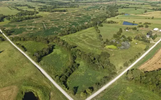 631-Acre Income-Producing Farm with CRP & Hunting – Near Albany