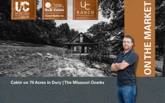 Cabin on 70 Acres in Drury | The Missouri Ozarks