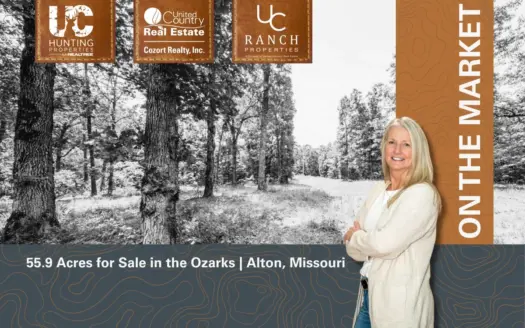 55.9 Acres for Sale in the Ozarks | Alton, Missouri