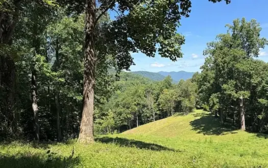 Mountain Property With Pastures And Mature Timber In Burnsville