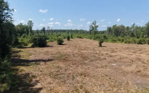 147± Acre Hunting Property in Plainview, LA