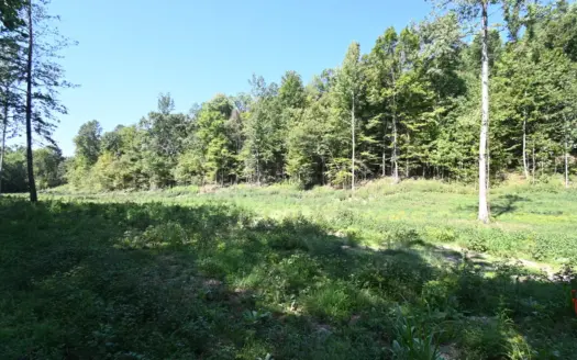 5.72 Acres of Unrestricted land with Creek For Sale!