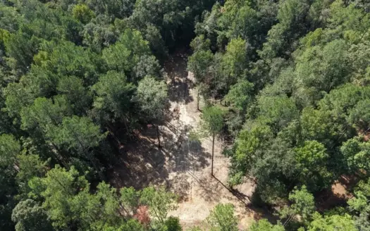 45± Acre Hunting Property in Franklin County, MS