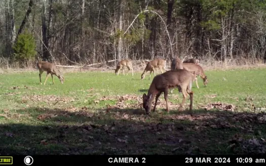 Ultimate Deer & Turkey Hunting 1 Hour West of St. Louis