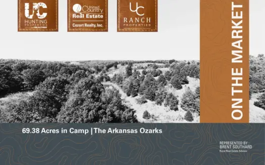 Nearly 70 Acres for Sale in the Ozarks | Camp, Arkansas