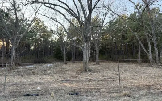 24 Acres in Hughes Springs TX | Utilities & FM 250 Access