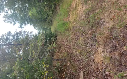 Hunting Land or great private home site