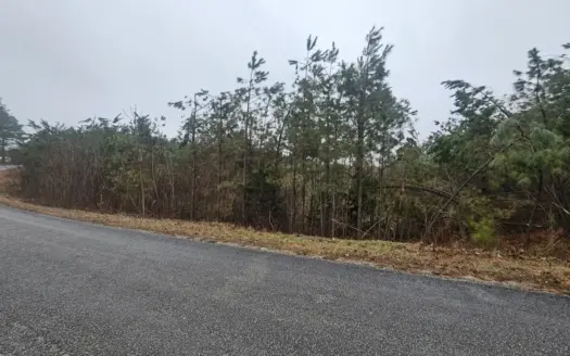 Land for Sale in Perry County, Tennessee