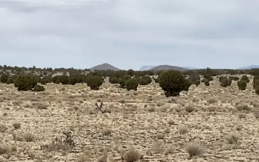 80 Acres for Sale in Northern AZ, No HOA, Borders State Trust