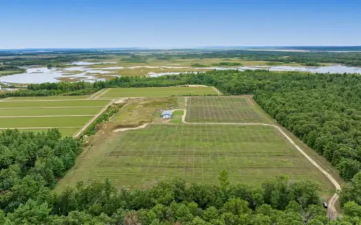 34.5± acre high-ground property in the Town of Bear Bluff