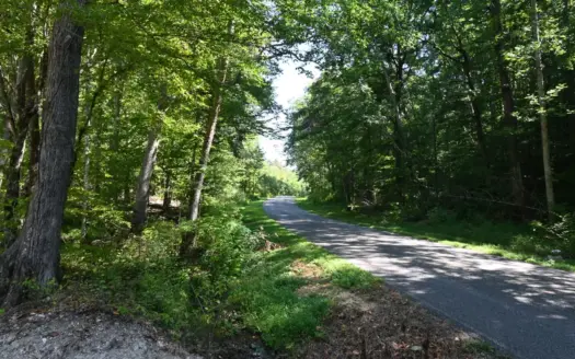 13.06 Acres For Sale, Perry County Tn