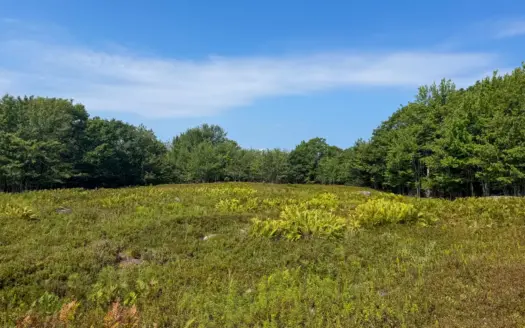 Private 31.5 Acre Parcel – Machias, Maine
