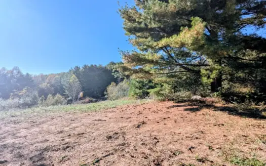 Image ID 043219a4-74ab-4626-81f6-97a61d0a864d.webp uploaded 2026-10-25 14:54:15