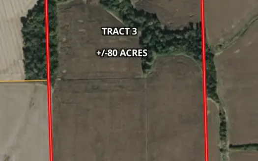 Gill/Kemp Land Auction: 246± Acres in Crawford County, IL