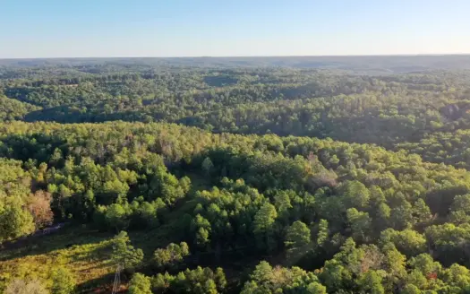 130 ± Acre Hunting Land Near Montauk State Park, Missouri
