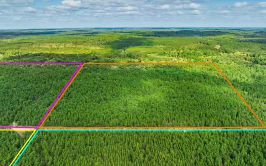 43± acre timbered tract off Horse Creek Road