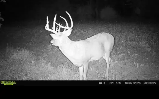 153+/- Acres — Lucas County, Iowa